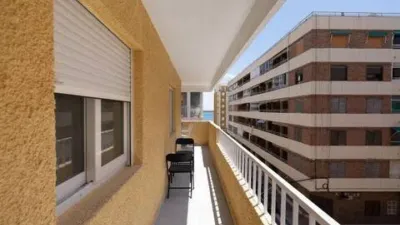 Pis – Torrevieja, San Roque - Vista 2