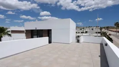 Chalet in Algorfa photo 41