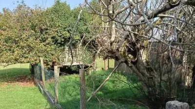 Chalet in O Pino photo 22