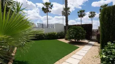 Chalet in Algorfa photo 50