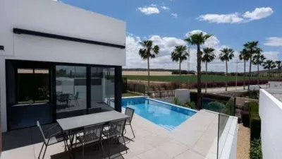 Chalet in Algorfa photo 12