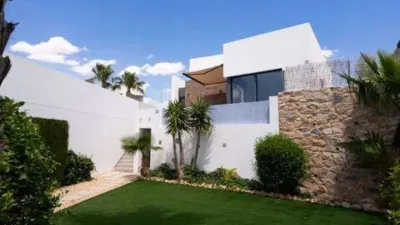Chalet in Algorfa photo 51