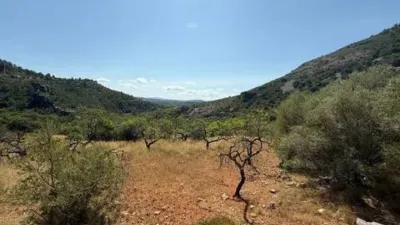 Rustic house in Albocàsser photo 18
