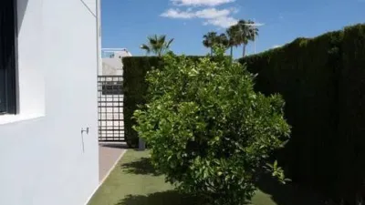 Chalet in Algorfa photo 58