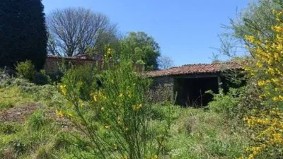 Chalet in A Brixeira (Curtis) photo 16