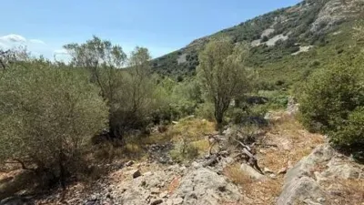 Rustic house in Albocàsser photo 17