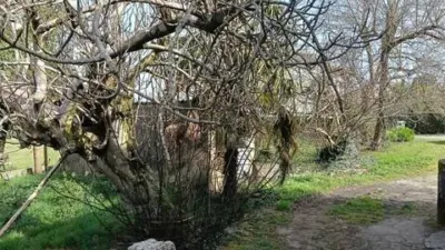 Chalet in O Pino photo 23