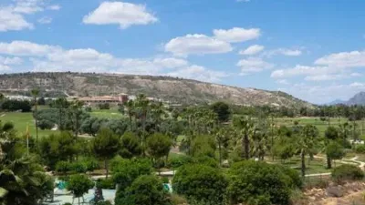 Chalet in Algorfa photo 43