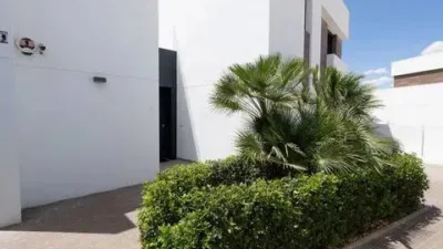 Chalet in Algorfa photo 60