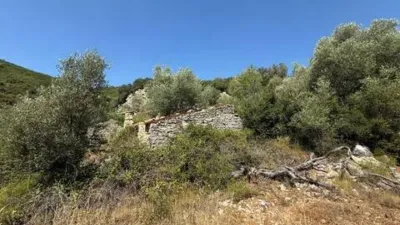 Rustic house in Albocàsser photo 16