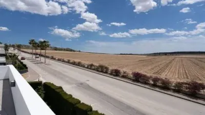 Chalet in Algorfa photo 17