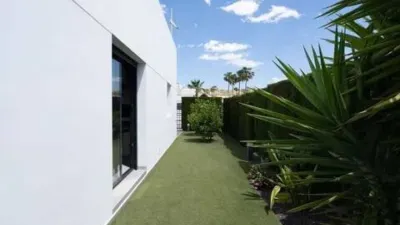 Chalet in Algorfa photo 55