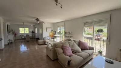Chalet in Aldea Ermita Nueva photo 4