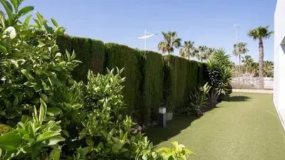 Chalet in Algorfa photo 57
