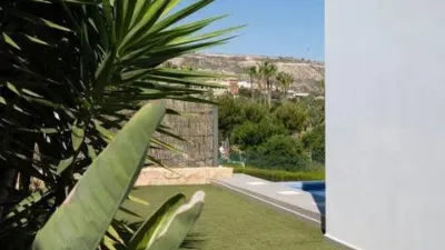 Chalet in Algorfa photo 54