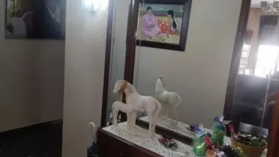 Apartment in the San Agustín Hospital Area photo 15