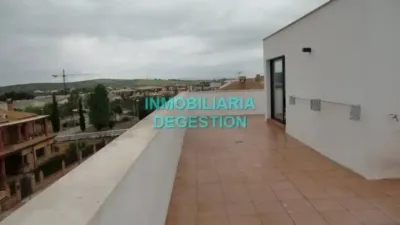 Chalet in Linares photo 20