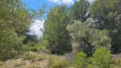 Rustic House in Chella photo 42