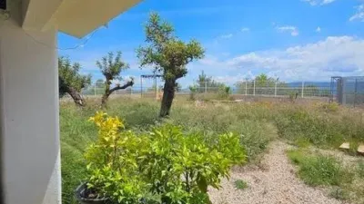 Rustic House in Chella photo 37