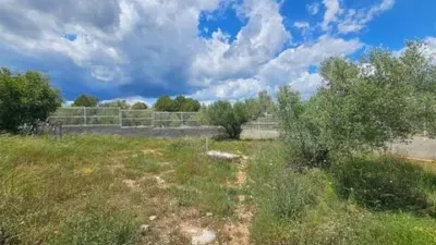 Rustic House in Chella photo 33