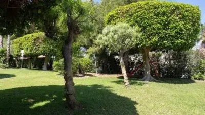 Top-floor apartment in Aguas Nuevas-Torreblanca-Sector 25 photo 19