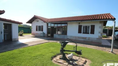 Rustic house in Corella photo 3