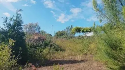 Terreno en venta en Núcleo - Vista 5