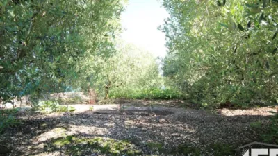 Rustic house in Corella photo 22