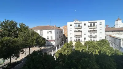Apartment in the City Centre photo 2