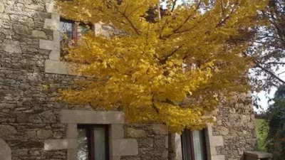 Chalet on Calle Presaras S-N photo 3
