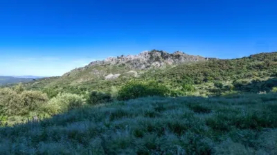Rustic property in Grazalema photo 67
