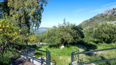 Rustic property in Grazalema photo 4