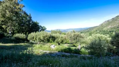 Rustic property in Grazalema photo 68