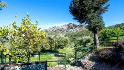 Rustic property in Grazalema photo 6
