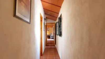 Rustic property in Grazalema photo 30