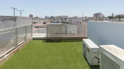 Apartment in San Vicente photo 3