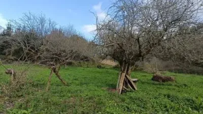 Chalet in A Chantada (Requeira) photo 25