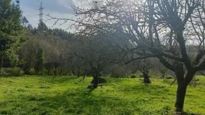 Chalet in A Chantada (Requeira) photo 21