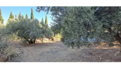 Chalet in Jaén Capital photo 17