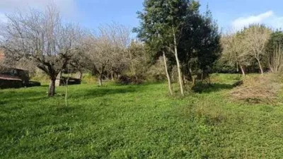 Chalet in A Chantada (Requeira) photo 23