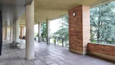 Apartment in Ermitagaña-Mendebaldea-Etxabakoitz photo 40