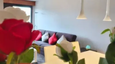 Apartment in Ermitagaña-Mendebaldea-Etxabakoitz photo 12