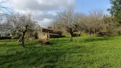Chalet in A Chantada (Requeira) photo 14