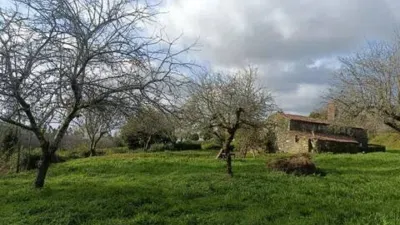 Chalet in A Chantada (Requeira) photo 15