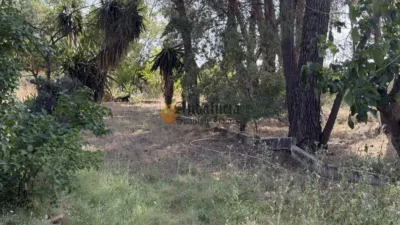  photo 43