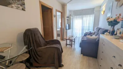 Pis – Torrevieja - Vista 5