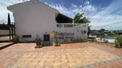  photo 45