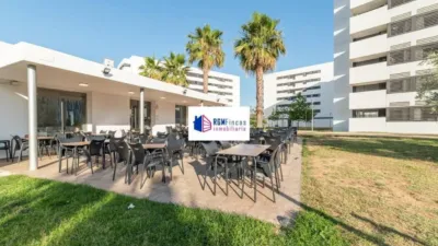 Apartment in Torreblanca photo 41