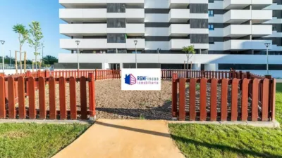 Apartment in Torreblanca photo 38