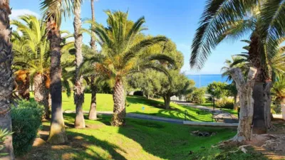 House in Gran Alacant photo 48